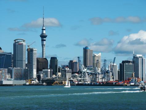 SEO Auckland